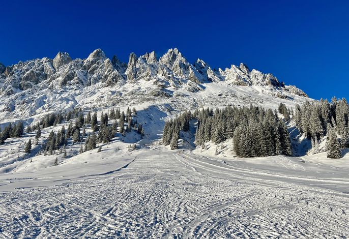 Bild 18
