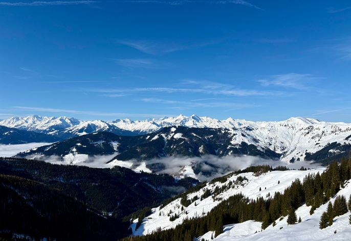 Bild 16