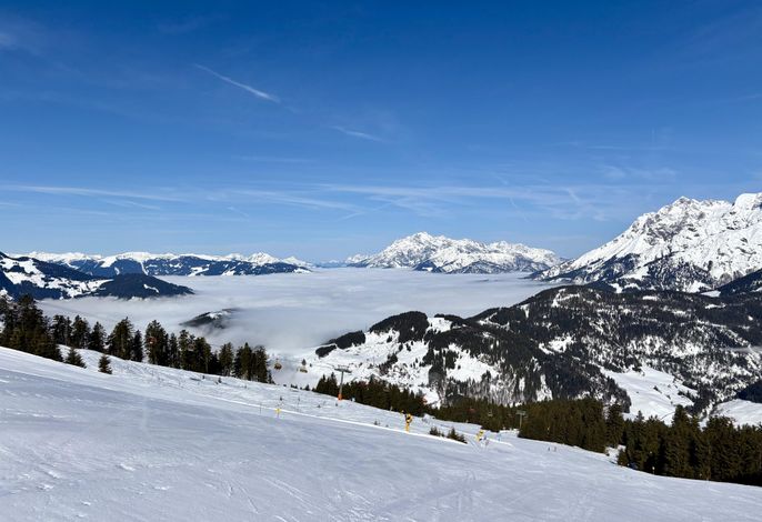 Bild 15
