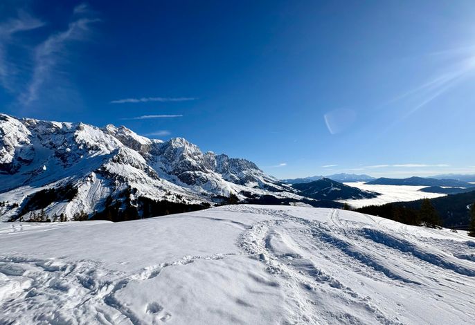 Bild 17
