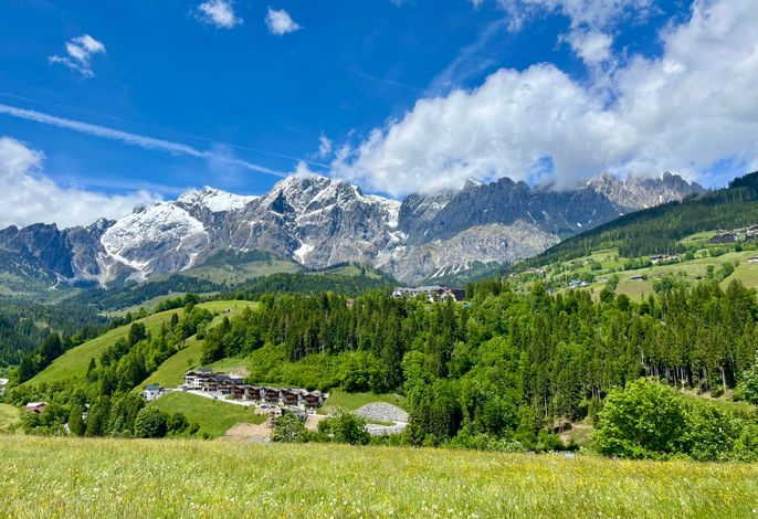Bild 20