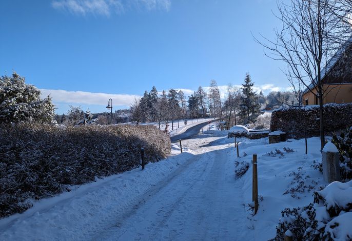 Bild 13