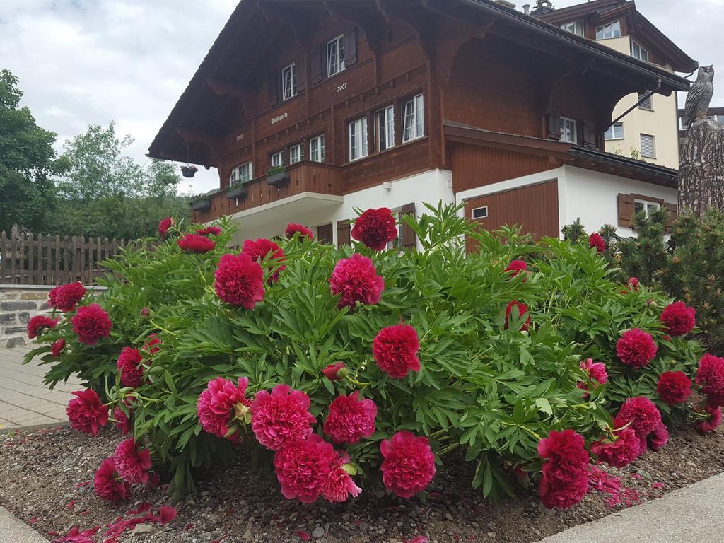 Chalet Waldperle