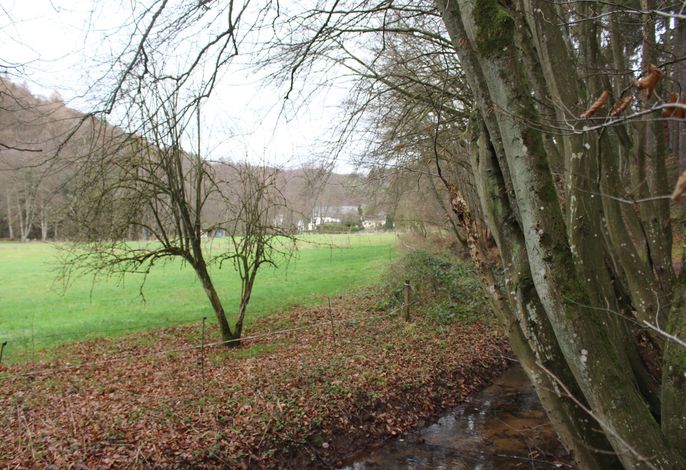 Bild 14
