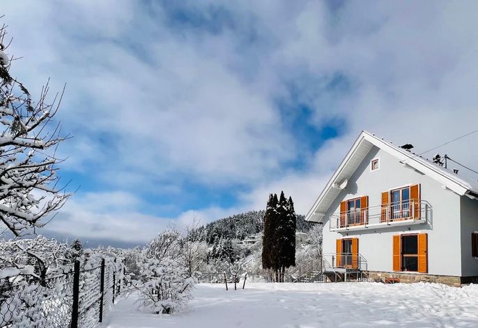 Ferienhaus EulenNest