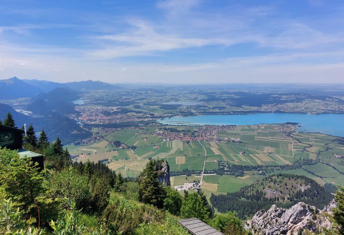 Bild 12