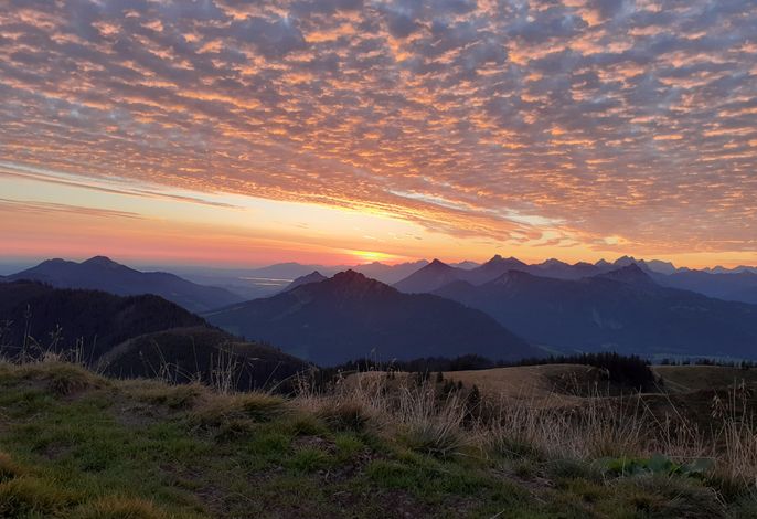 Bild 17