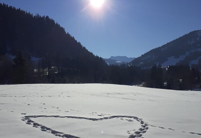 Bild 41