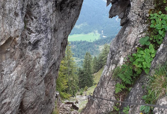 Bild 33
