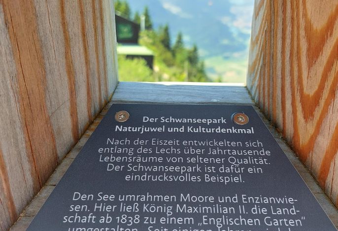Bild 20