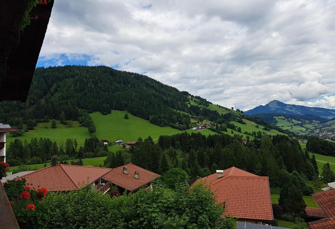 Bild 15