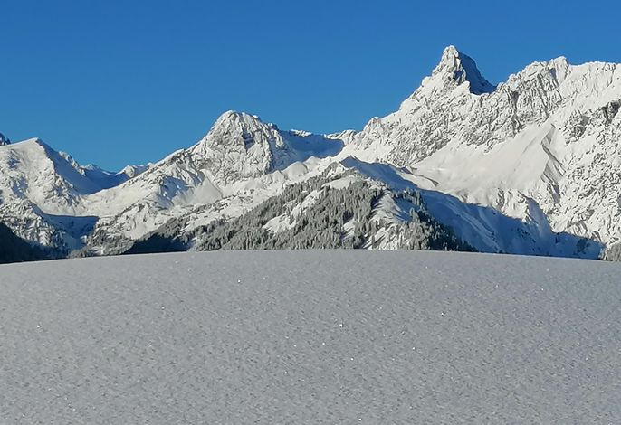 Bild 55