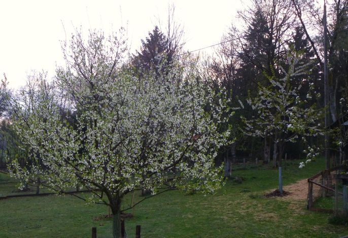 Bild 18
