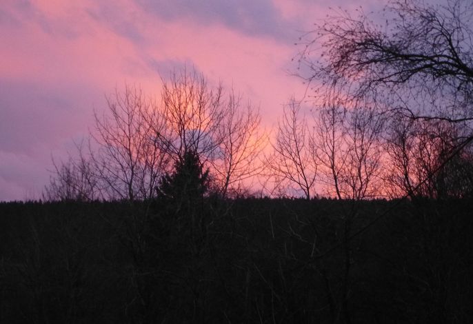 Bild 17