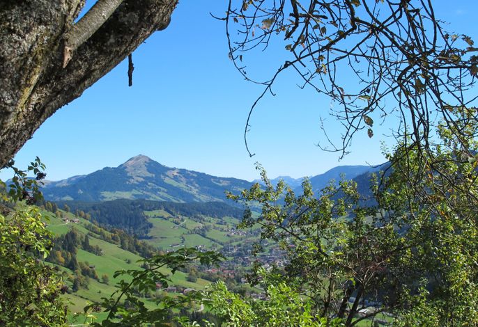 Bild 16