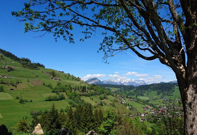 Bild 17