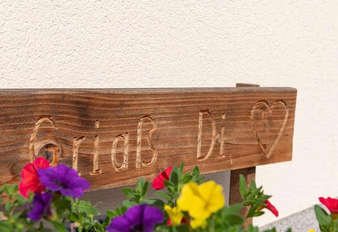 Bild 19