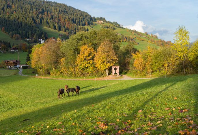 Bild 15