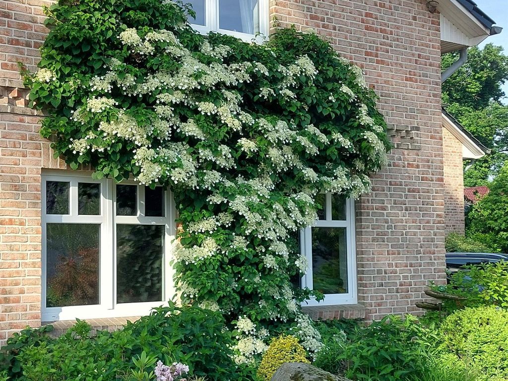 Feldblick-Kunst-Oase, Ferienwohnung