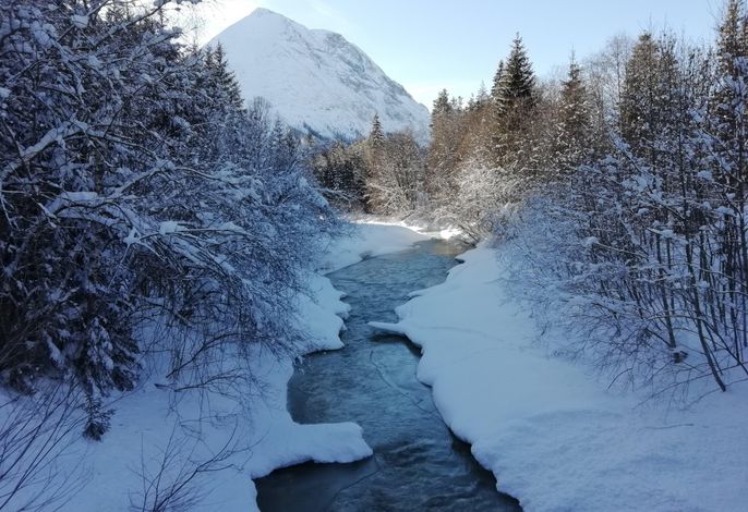 Bild 11