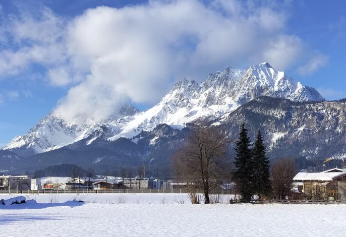 Bild 19