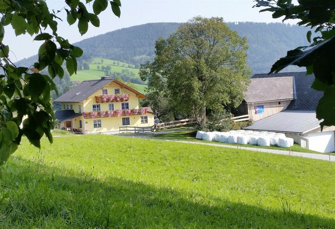 Bild 2