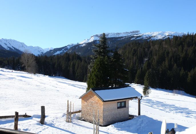 Bild 55