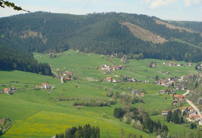 Bild 11
