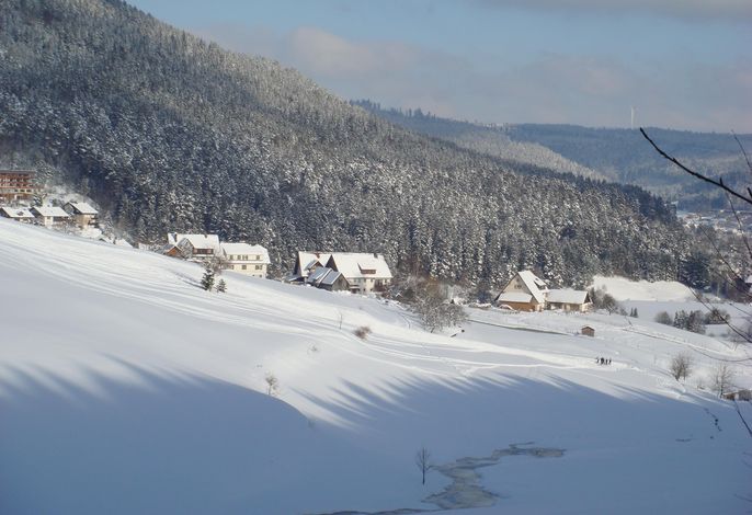 Bild 19