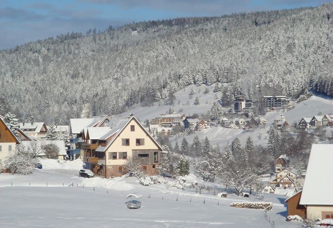 Bild 15