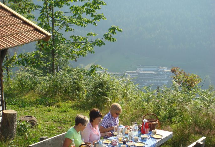 Bild 13