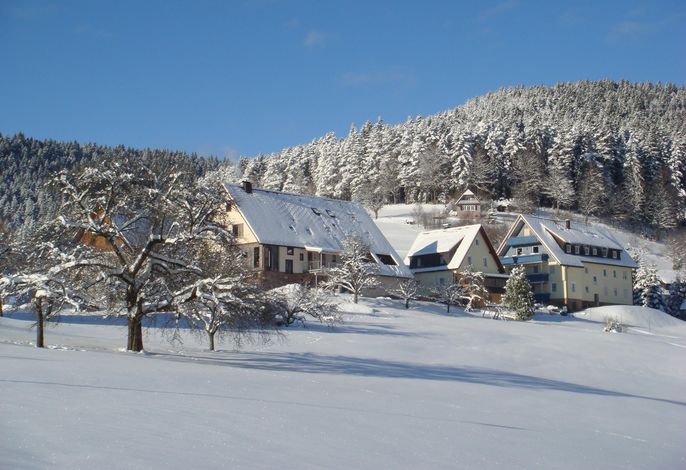 Bild 14