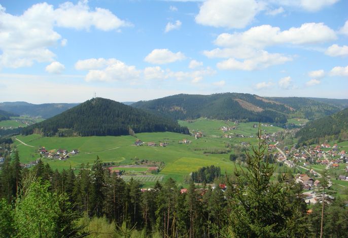 Bild 12