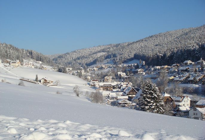 Bild 16