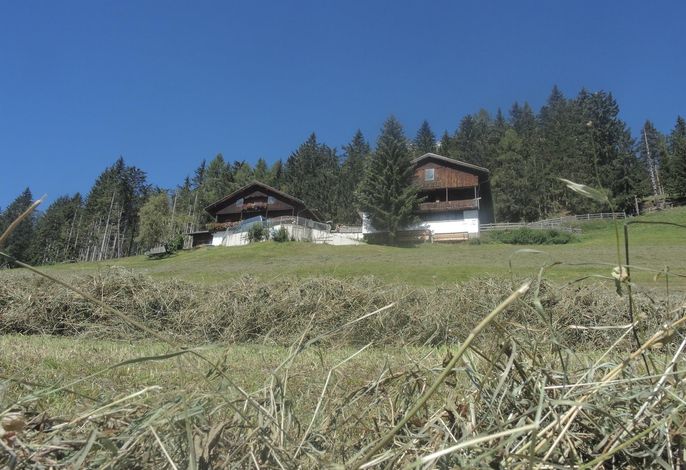 Bild 7