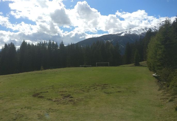 Bild 12