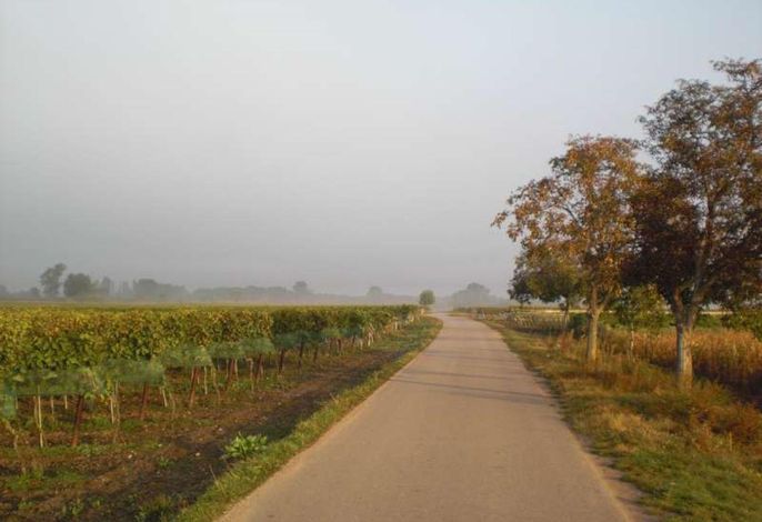 Bild 25