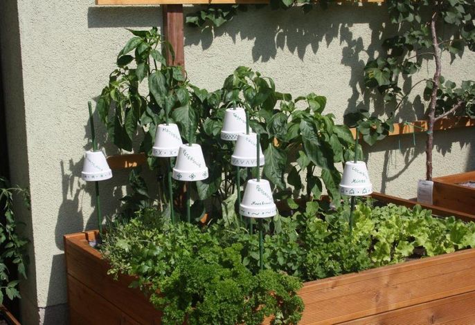 Bild 13