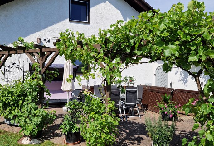 Bild 12