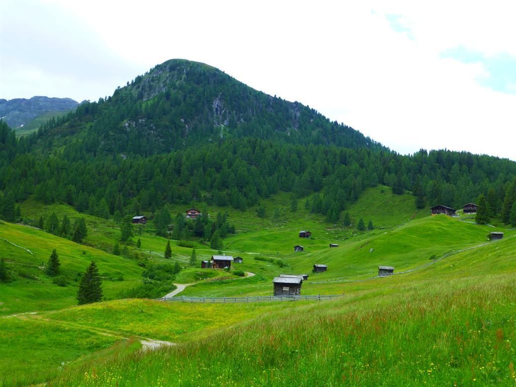 PLONERHOF