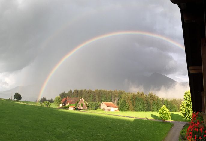 Bild 18