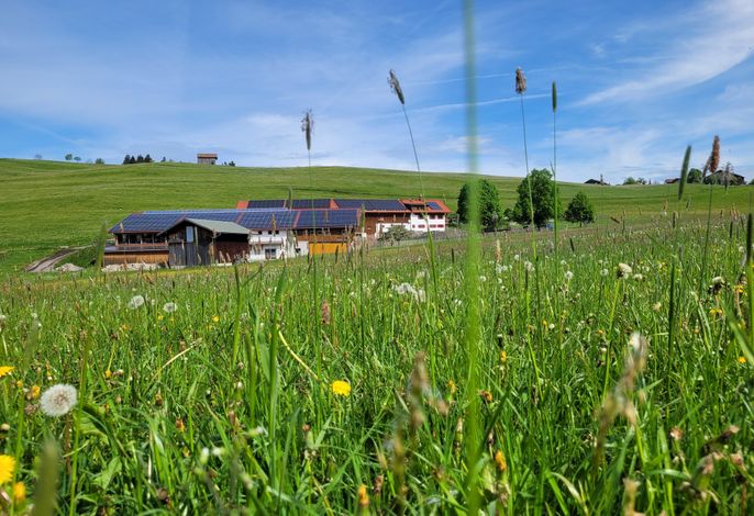 Bild 24