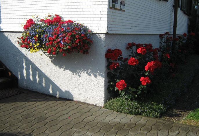 Bild 14