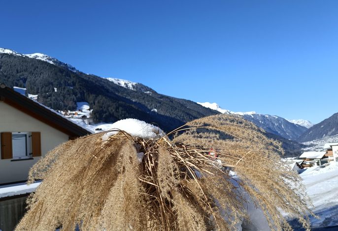 Bild 22