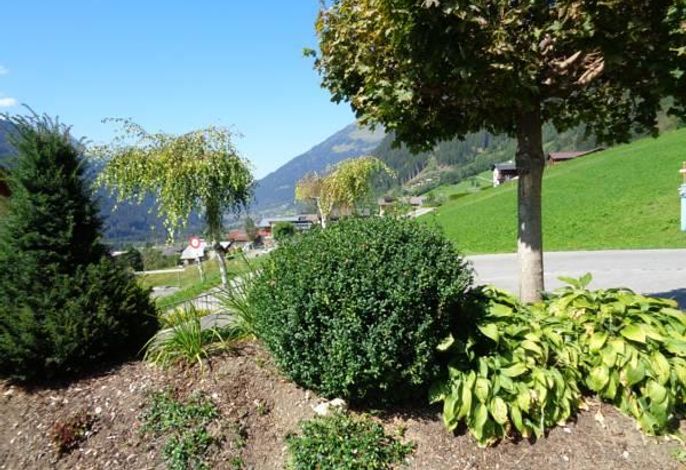 Bild 17