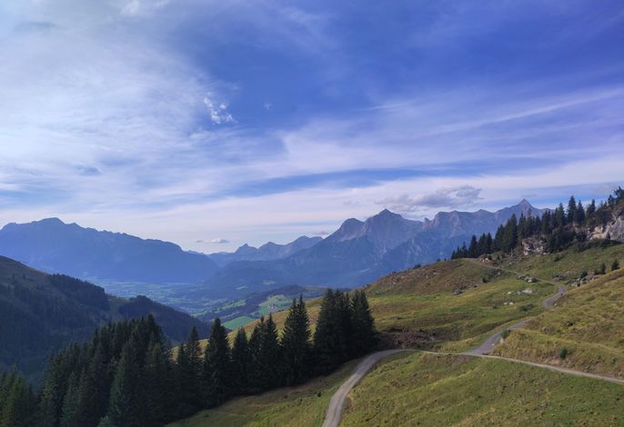 Bild 14