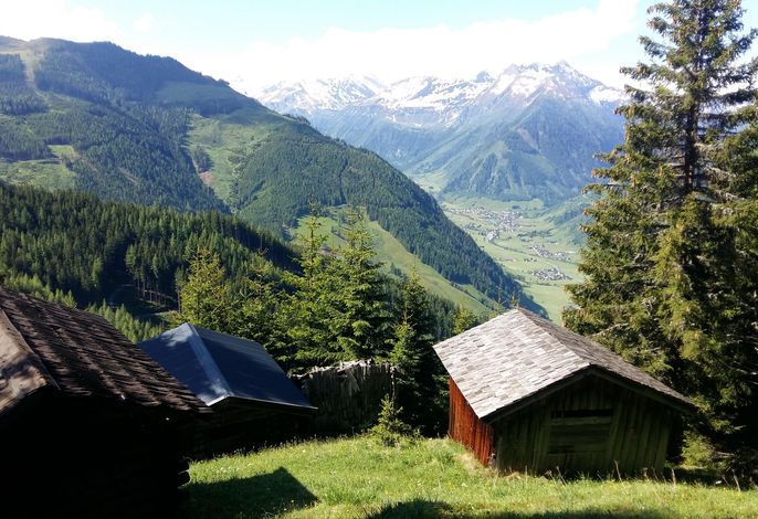 Bild 7