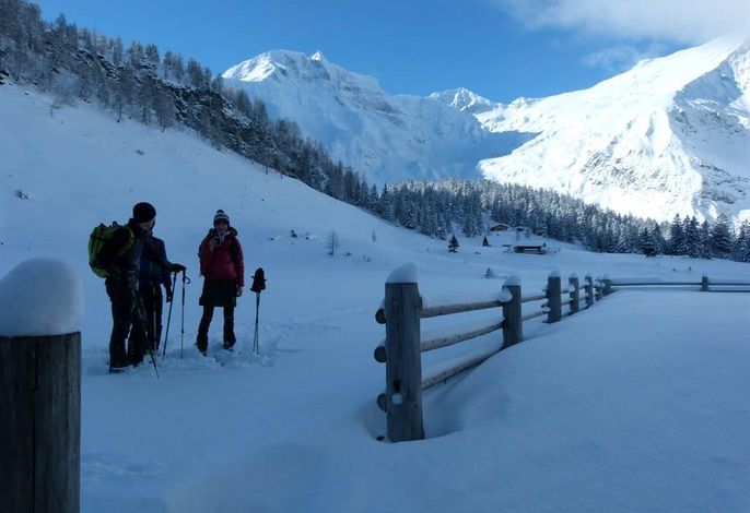 Bild 22