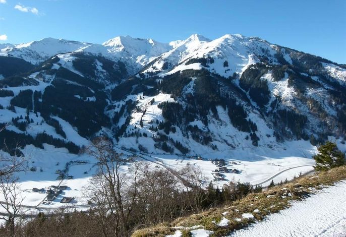 Bild 19