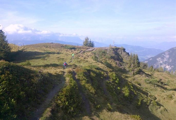Bild 8